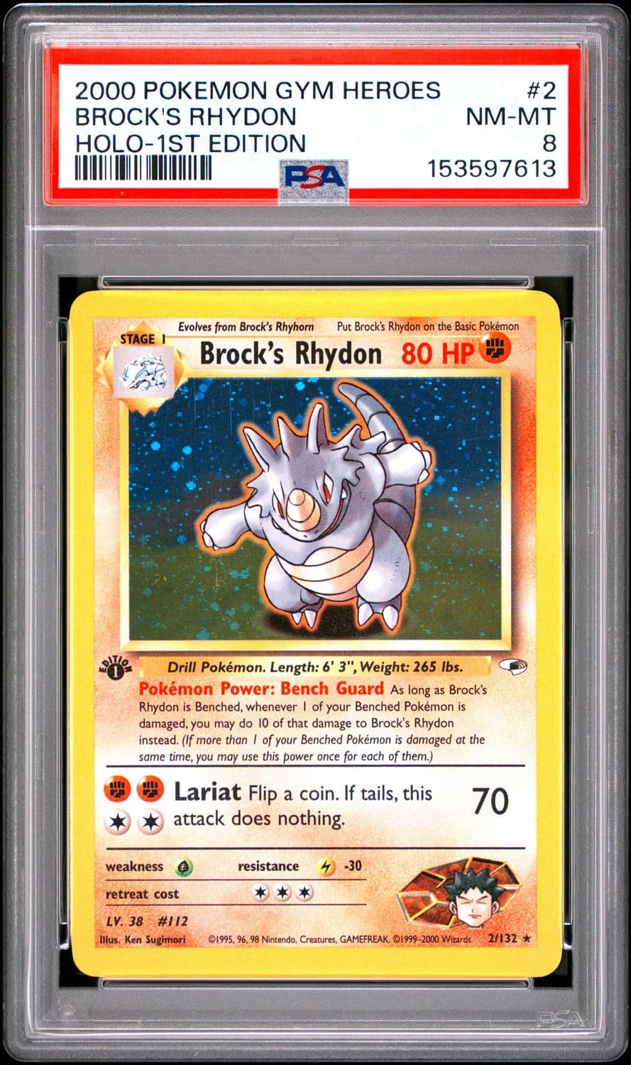 Brock'S Rhydon