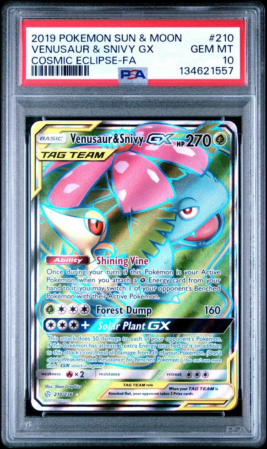 Venusaur & Snivy Gx