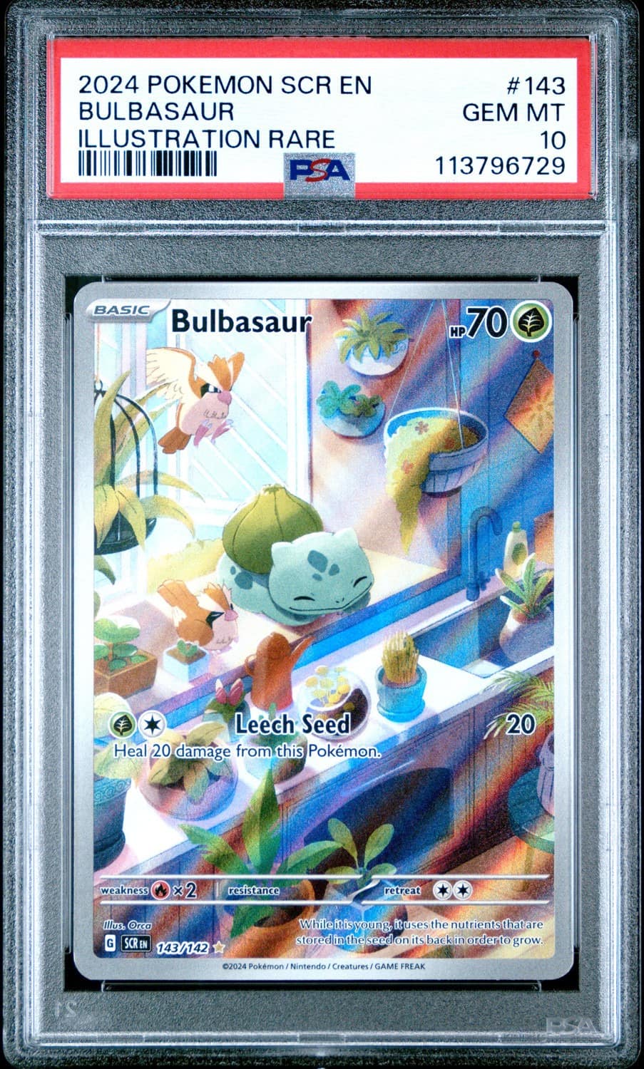 Bulbasaur