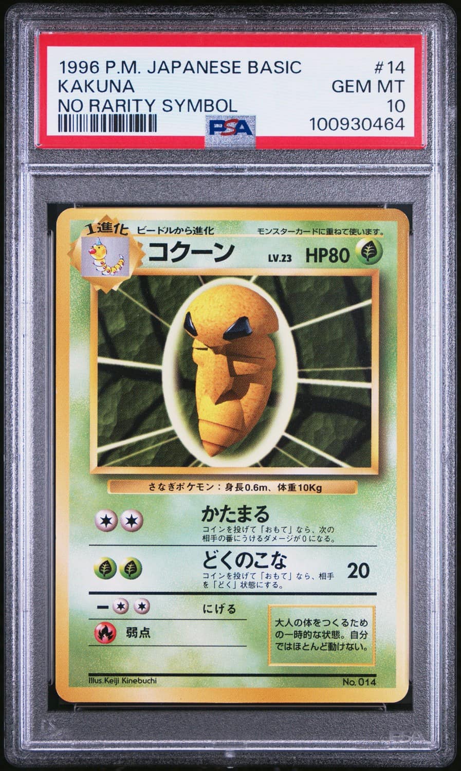Kakuna