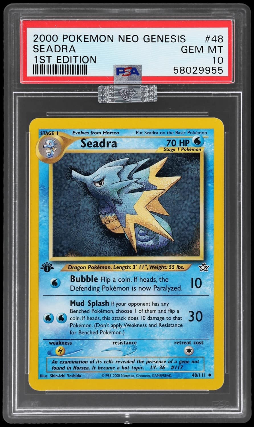 Seadra