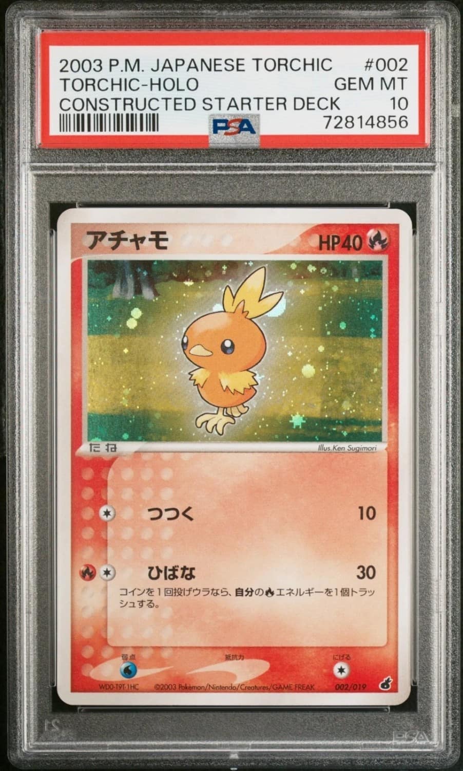 Torchic