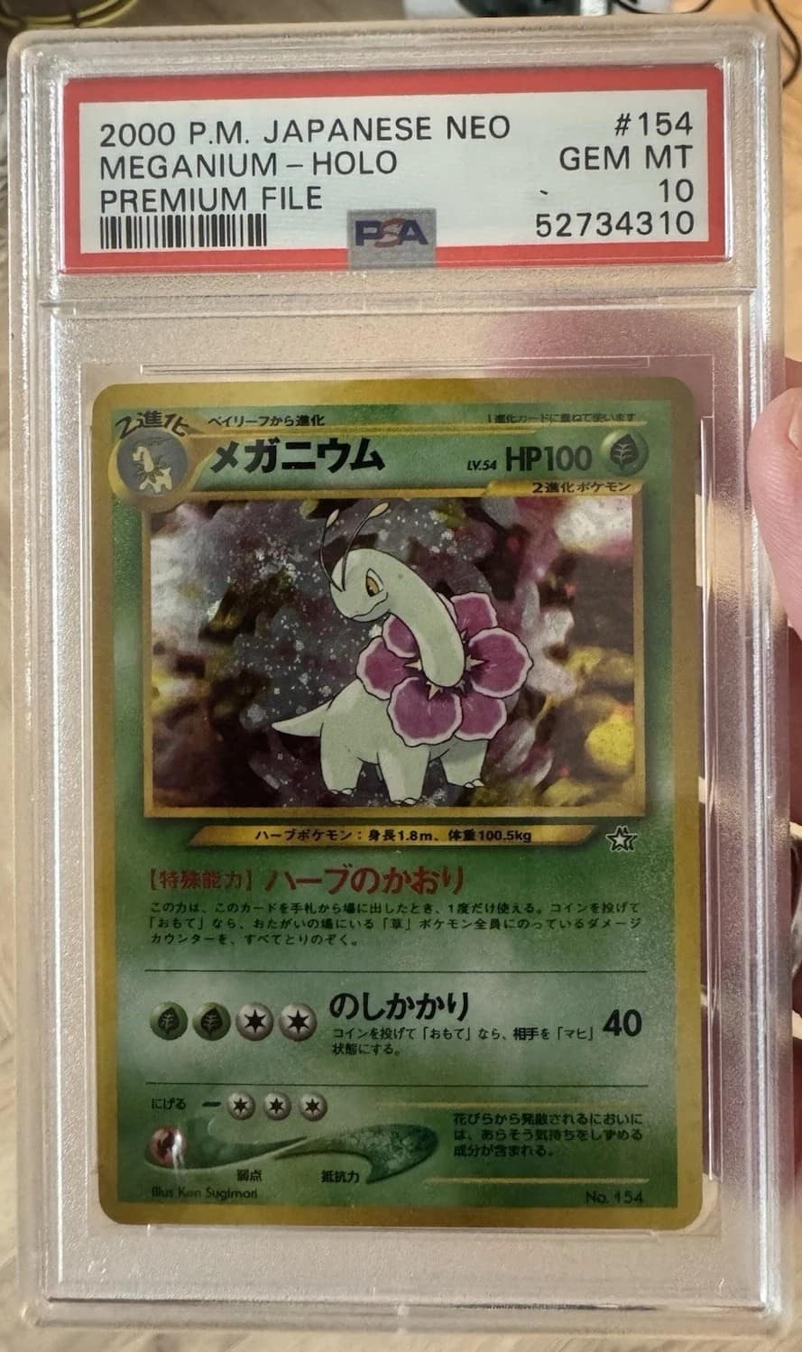 Meganium