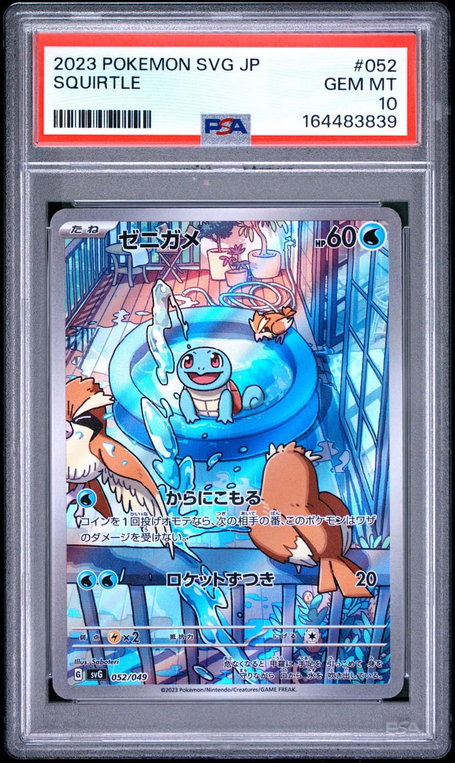 Squirtle
