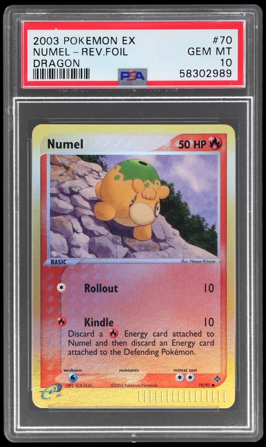 Numel Dragon