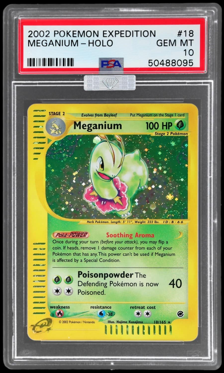 Meganium