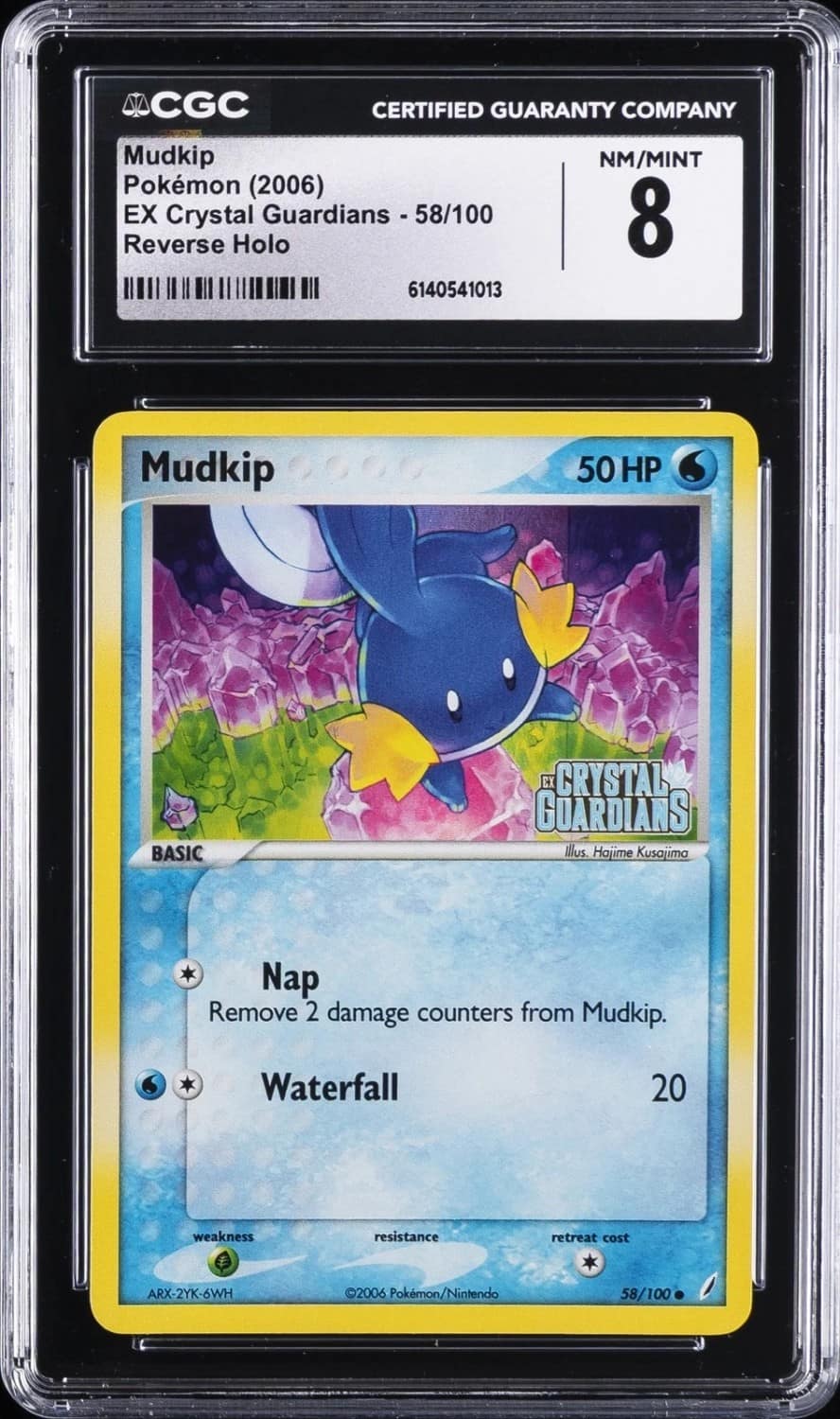 Mudkip