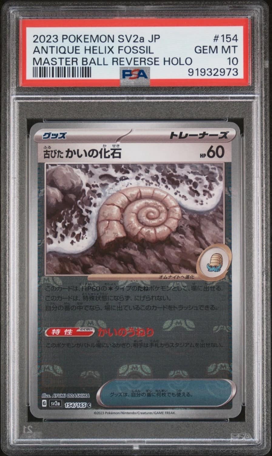 Antique Helix Fossil