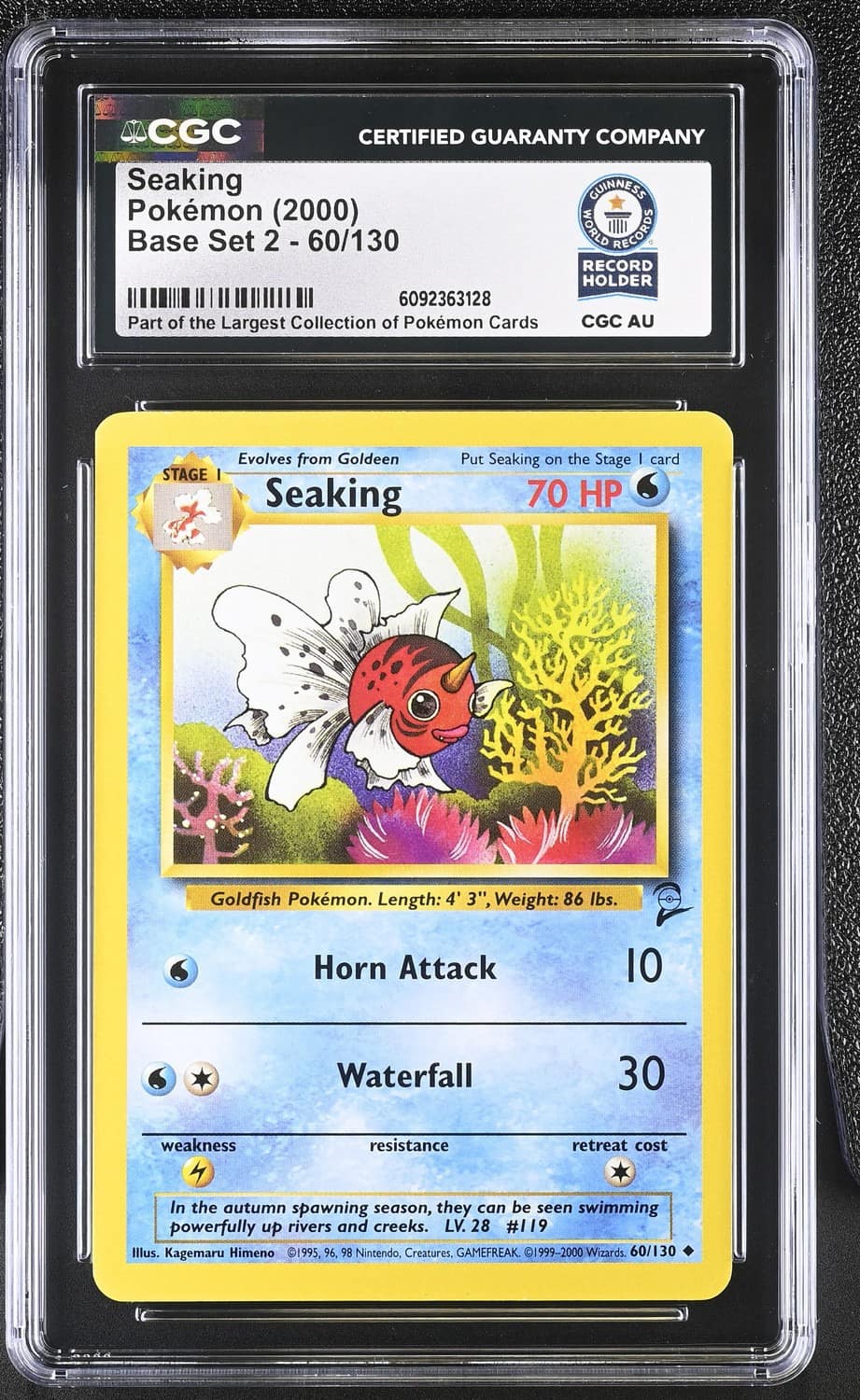 Seaking