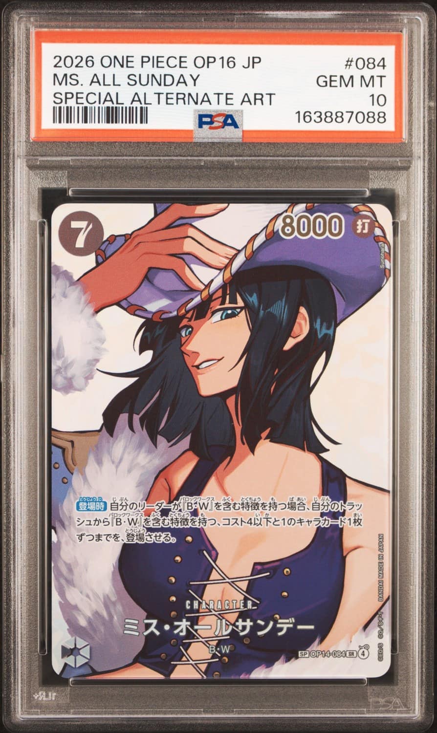 Ms. All Sunday Sp
