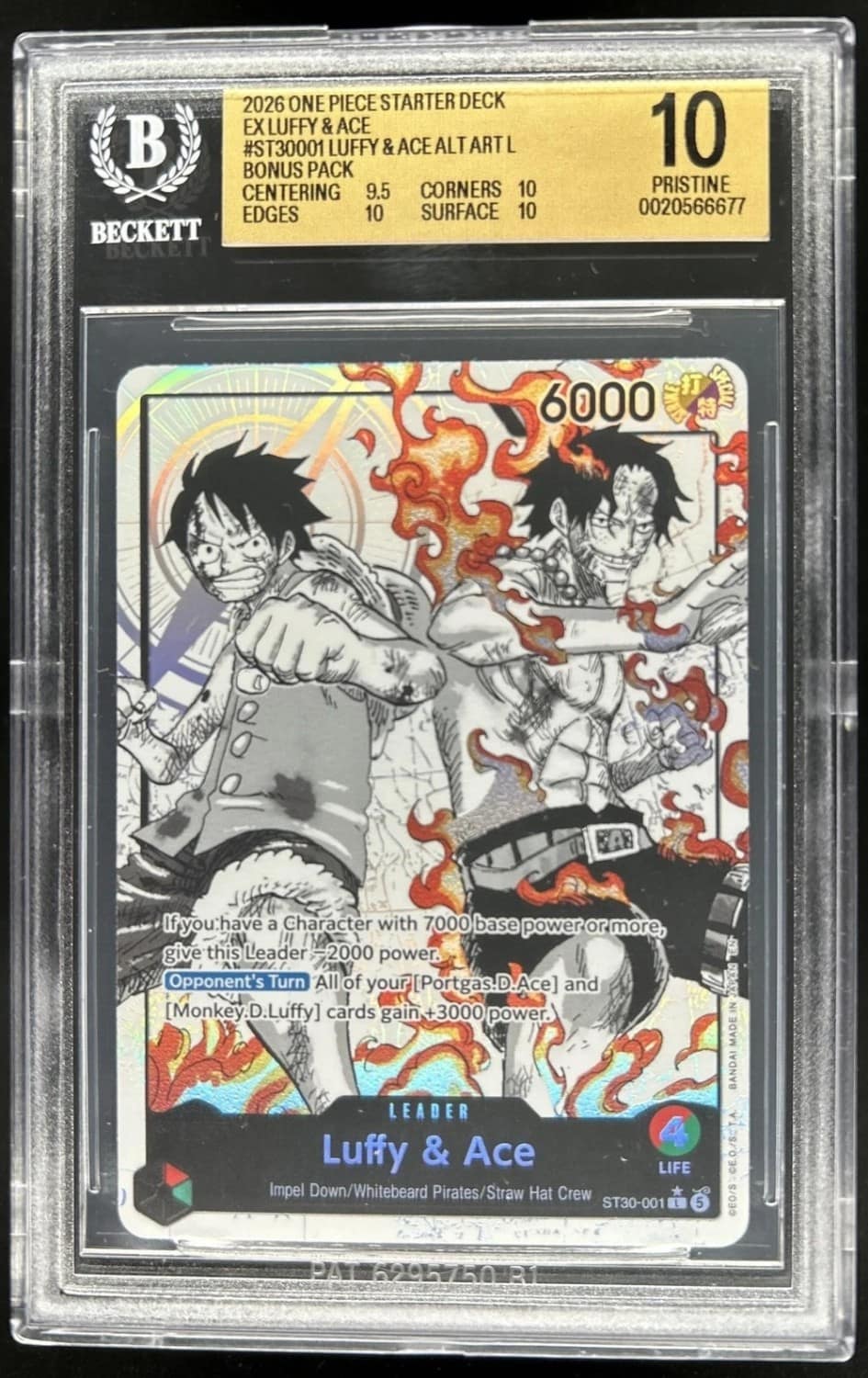 Luffy & Ace