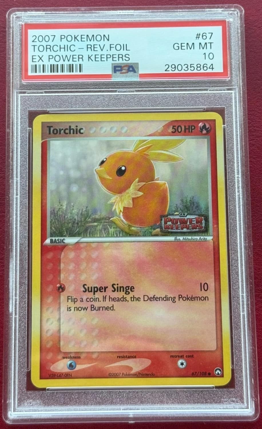 Torchic