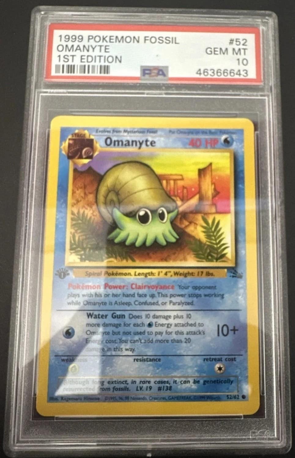 Omanyte