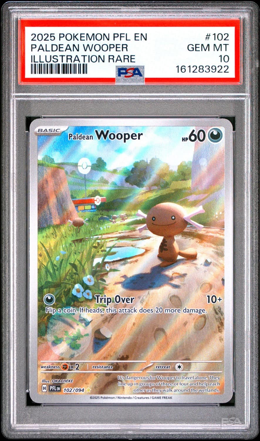 Paldean Wooper