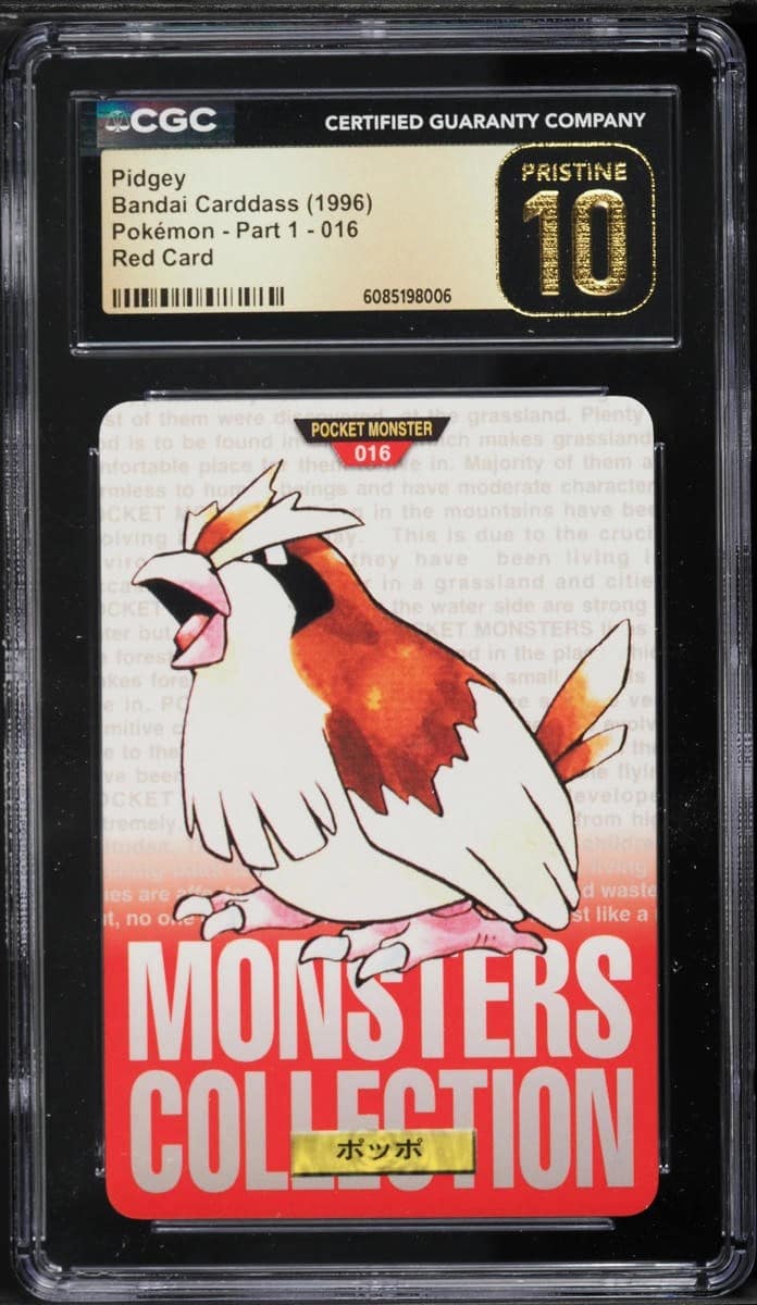 Pidgey