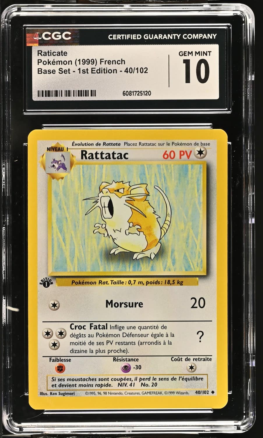 Raticate
