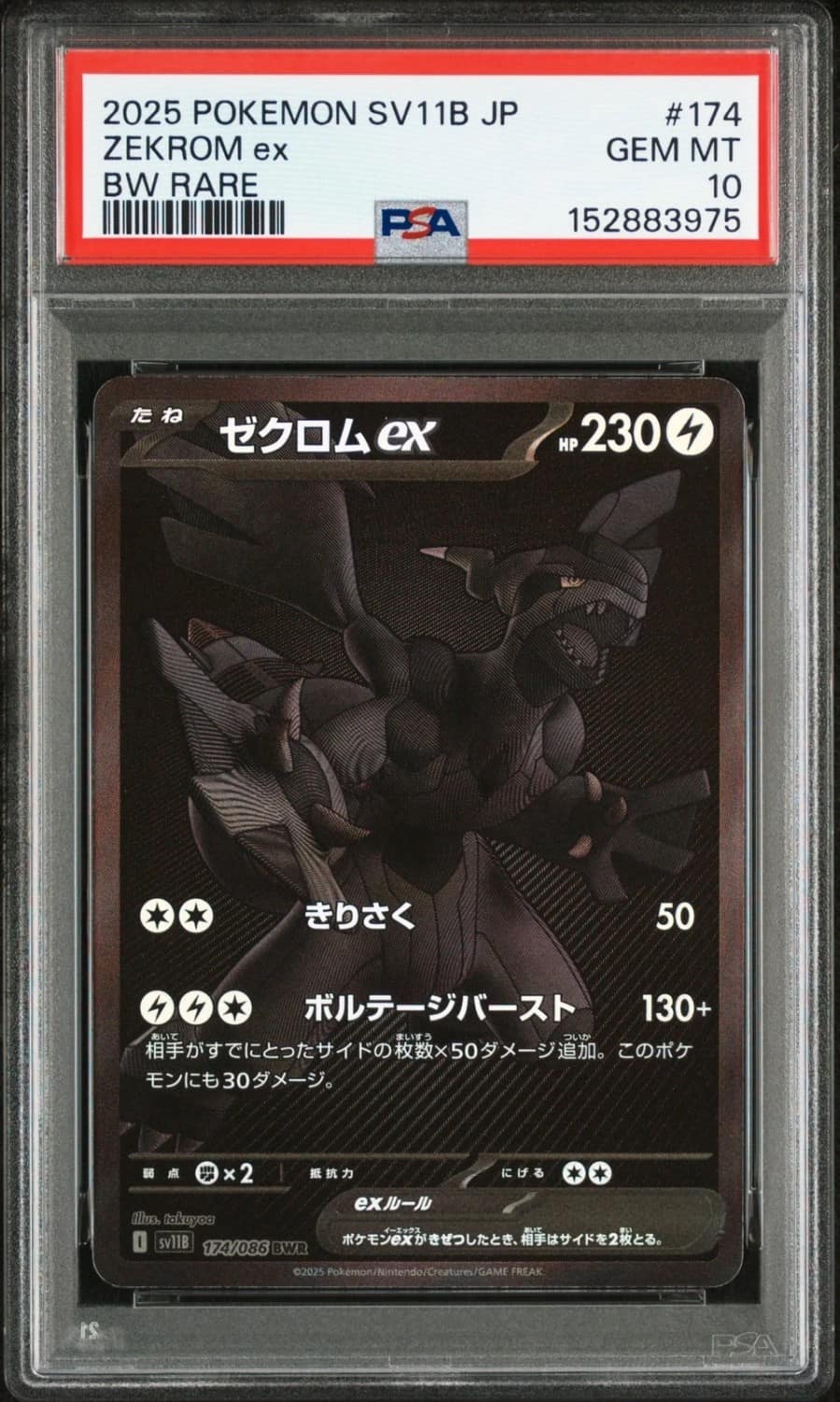 Zekrom Ex
