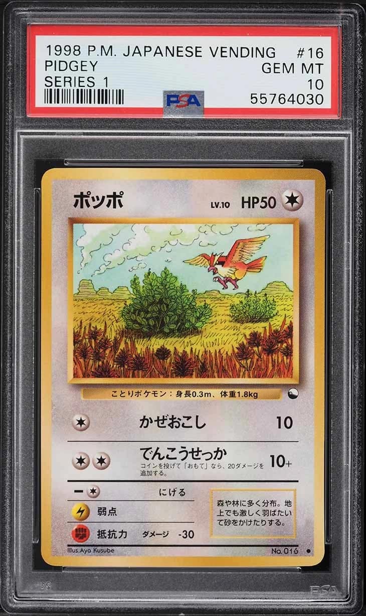 Pidgey