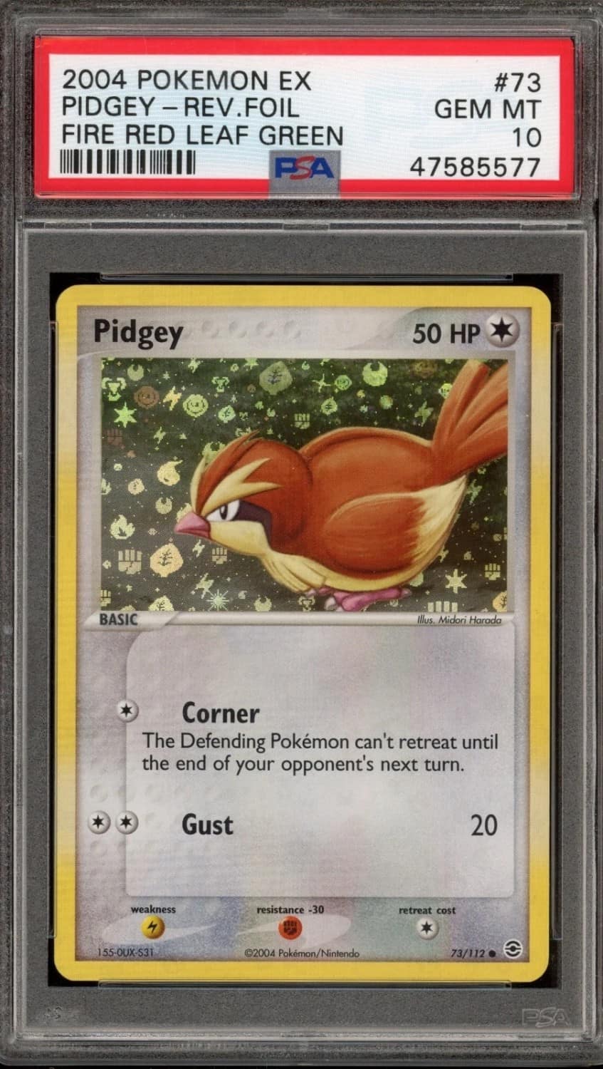 Pidgey