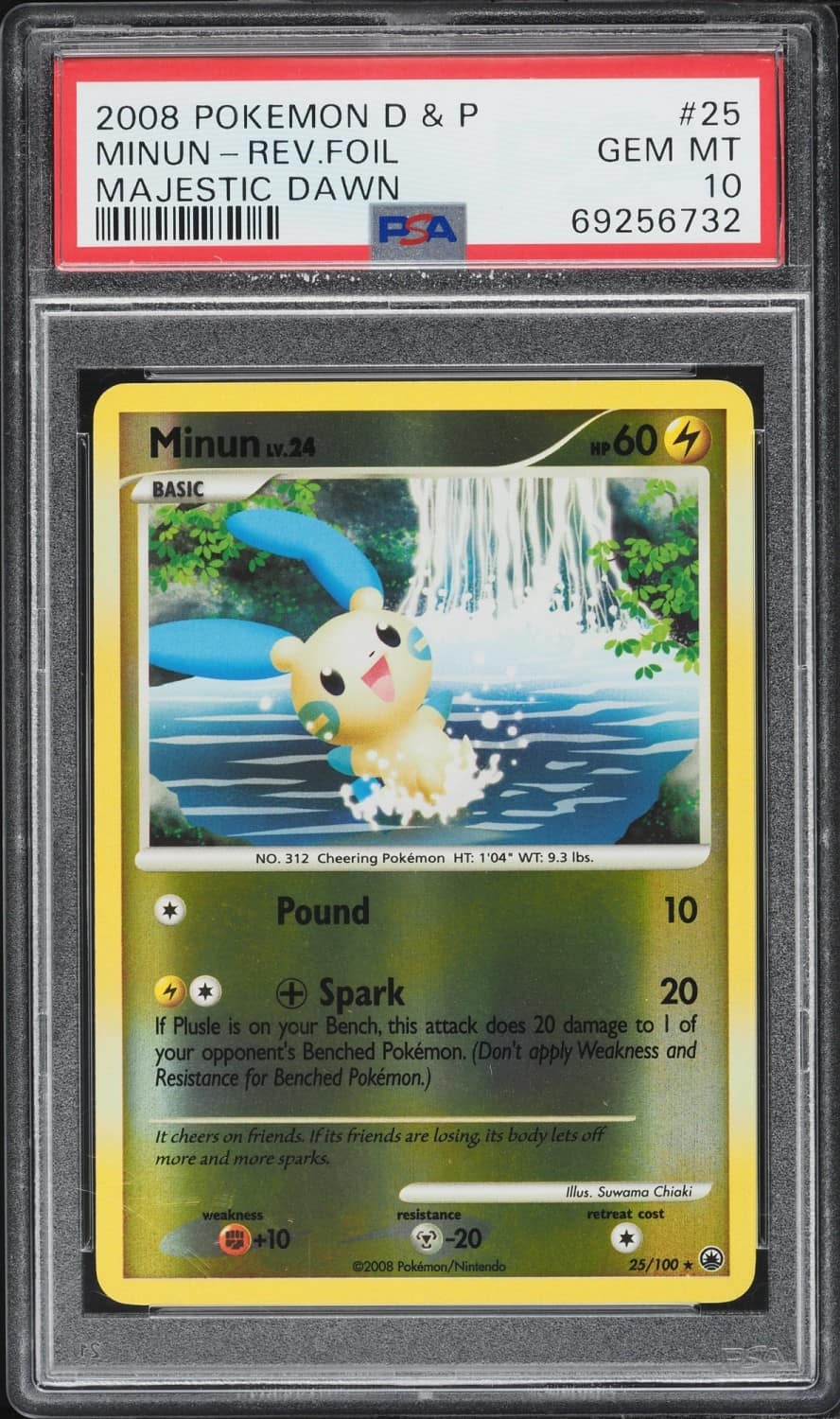 Minun