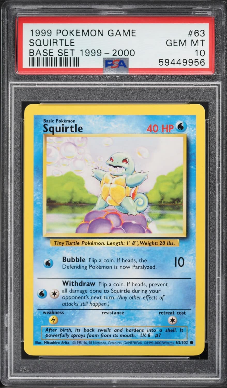 Squirtle