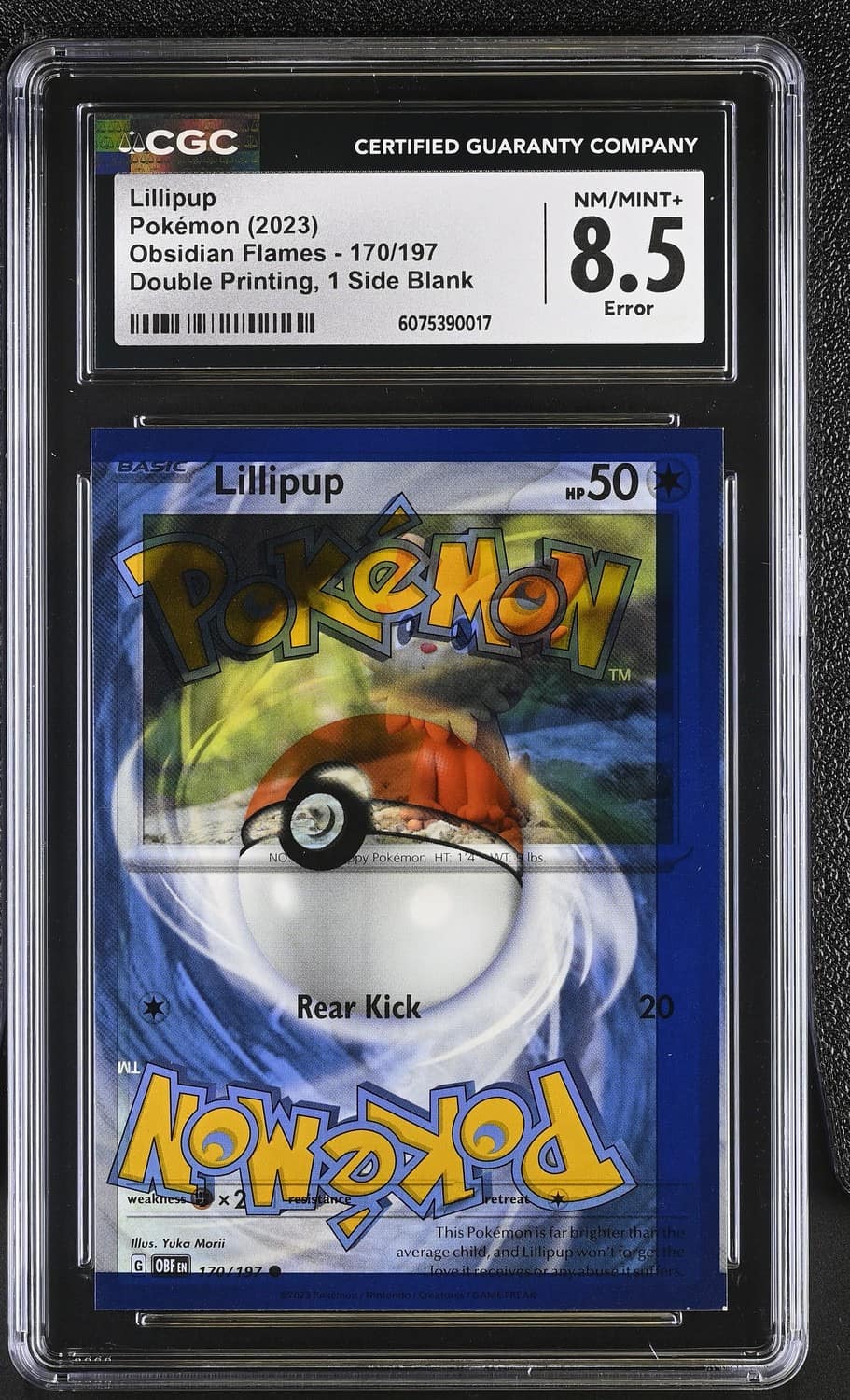Lillipup