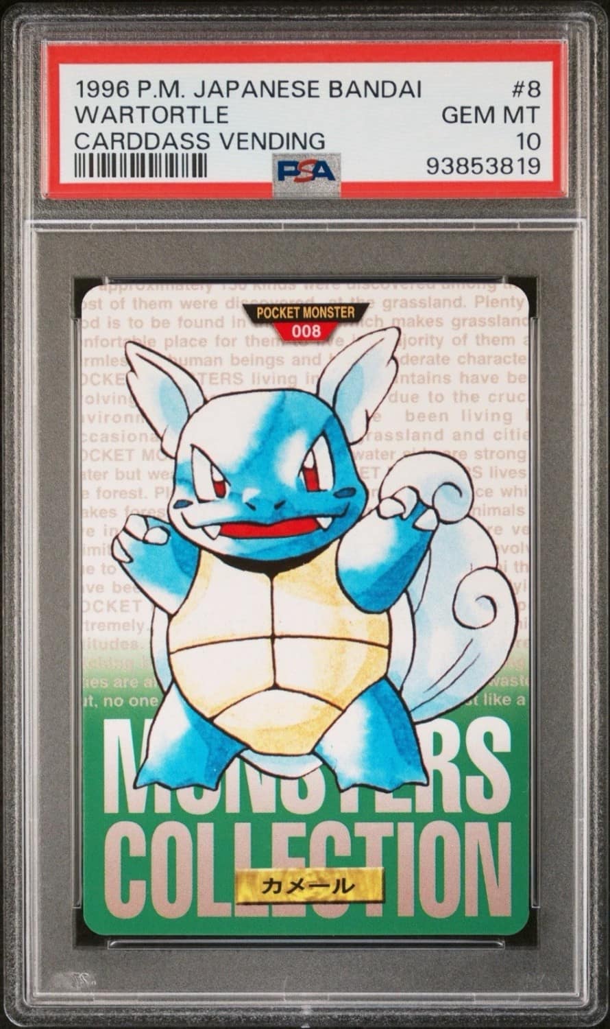 Wartortle