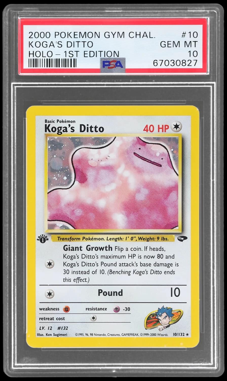 Koga'S Ditto