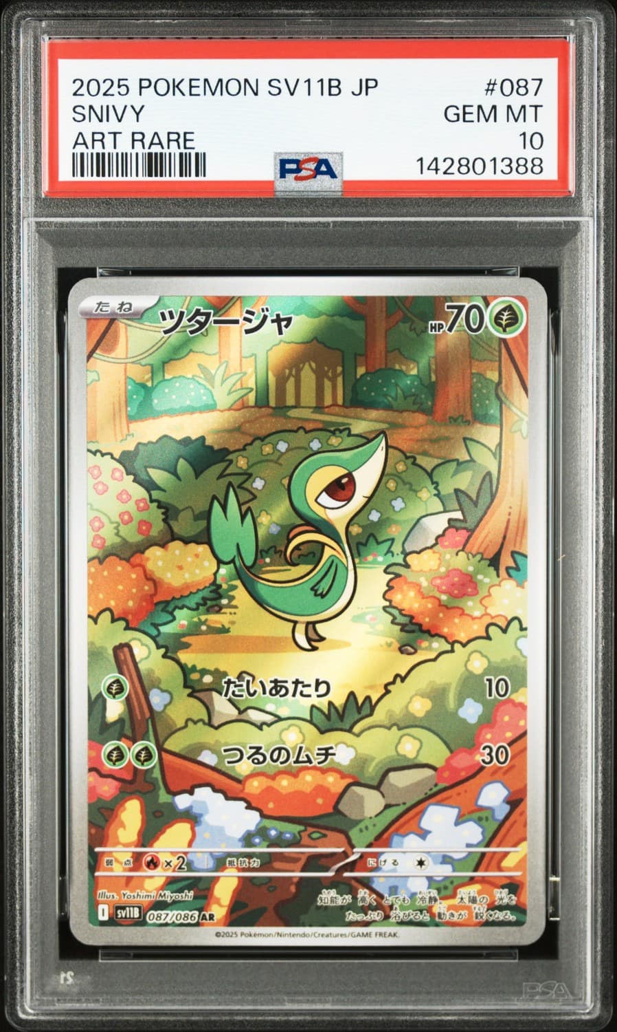 Snivy