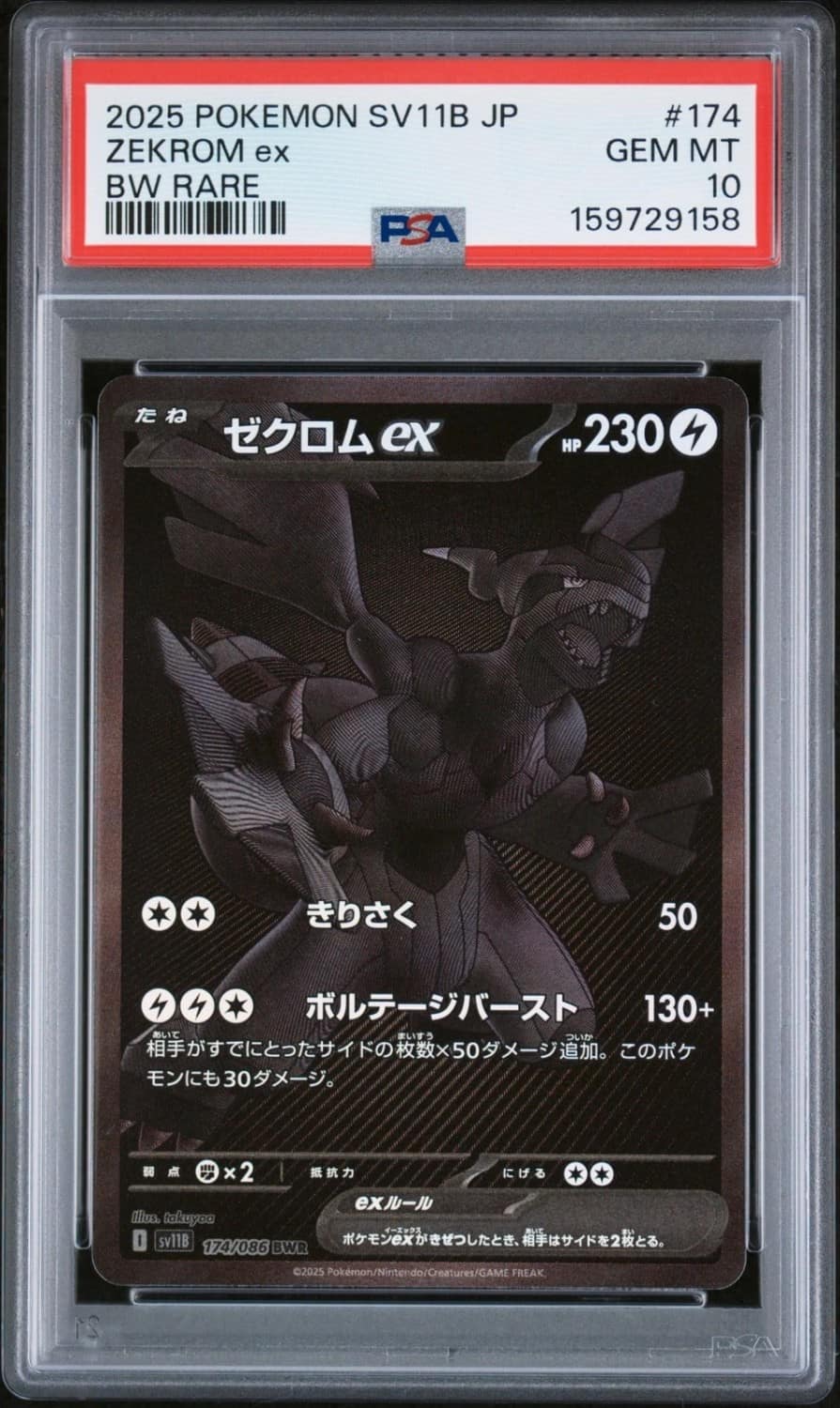 Zekrom Ex