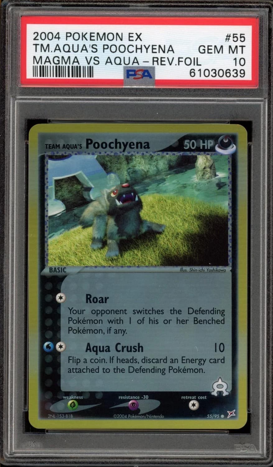 Aqua'S Poochyena