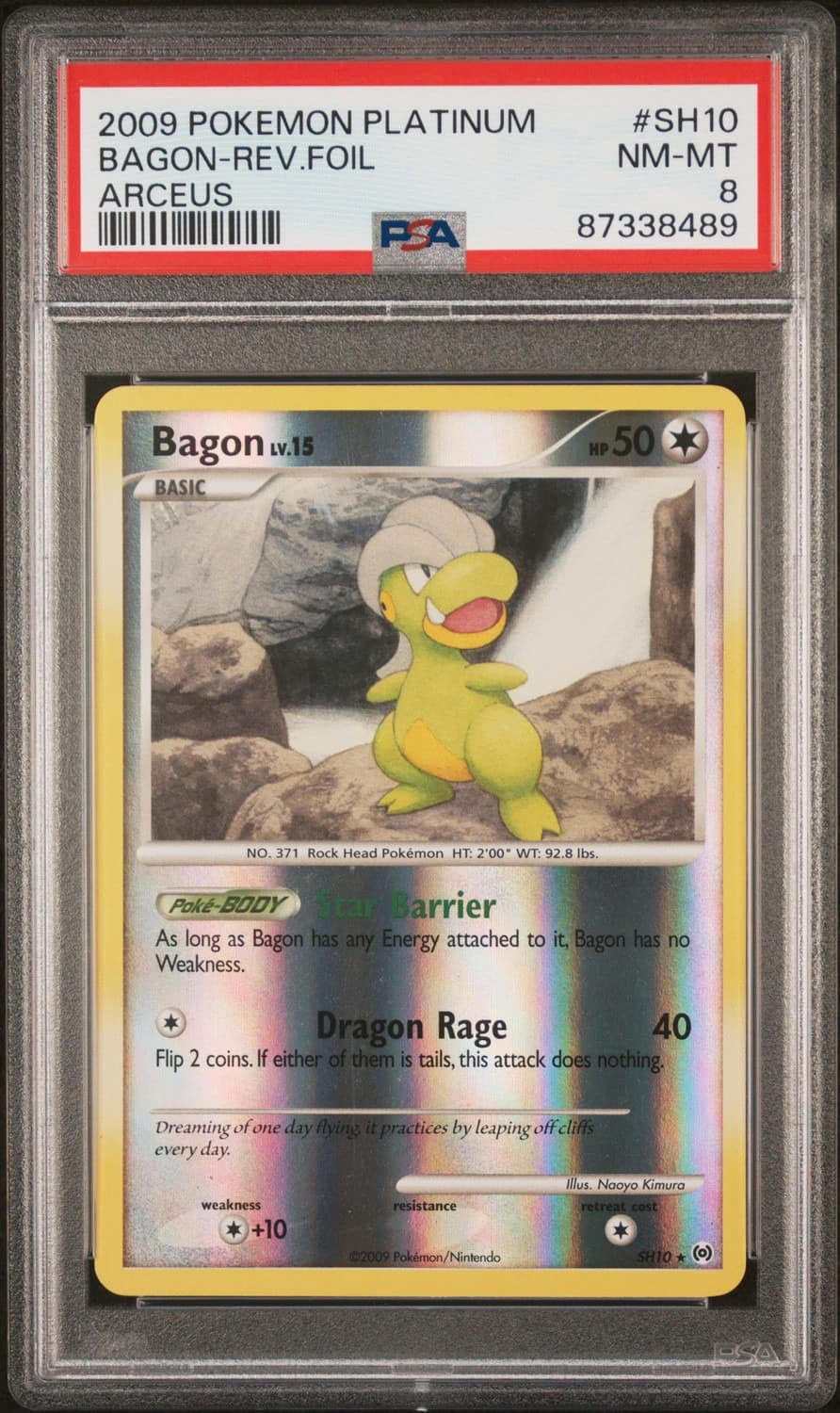 Bagon