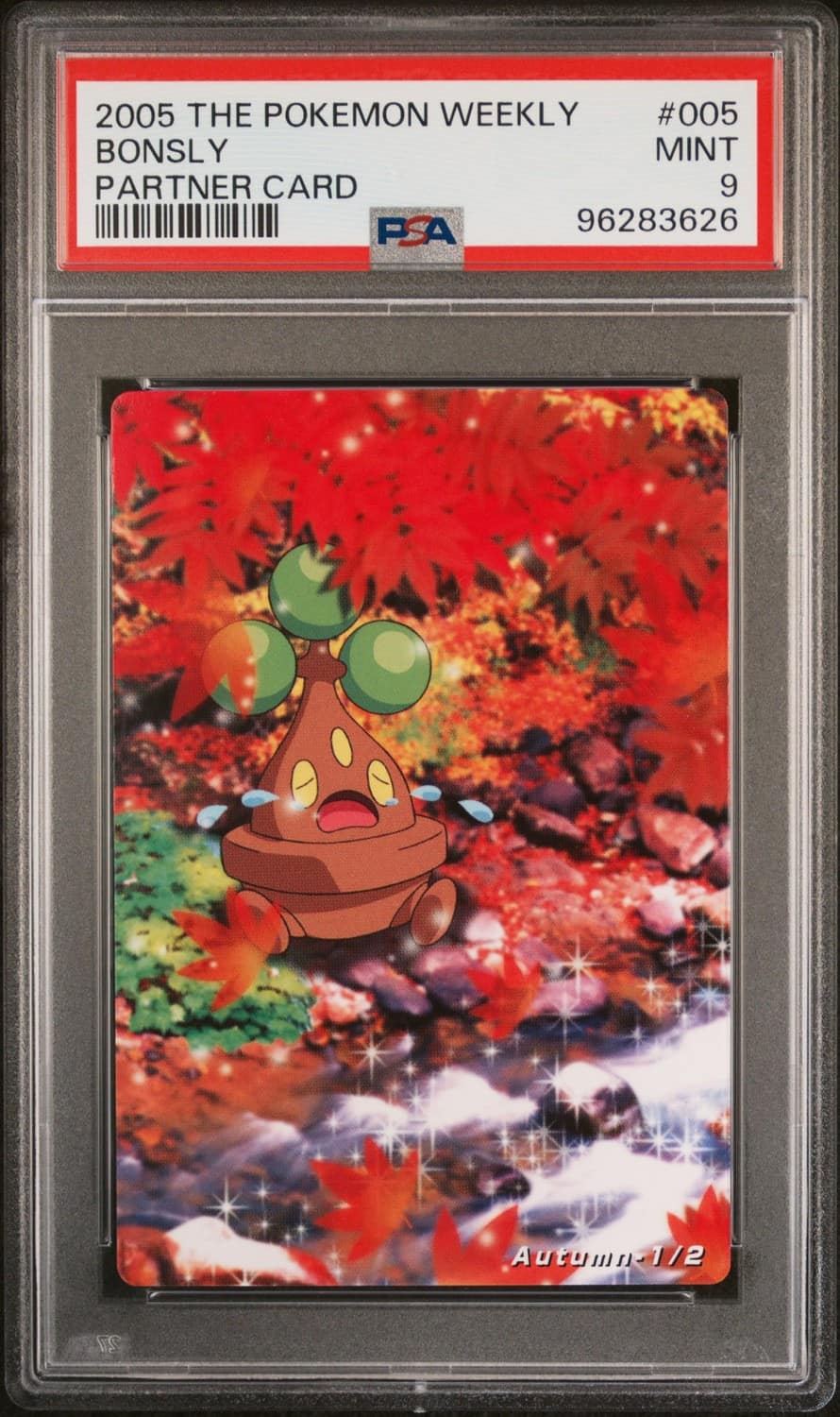 Bonsly