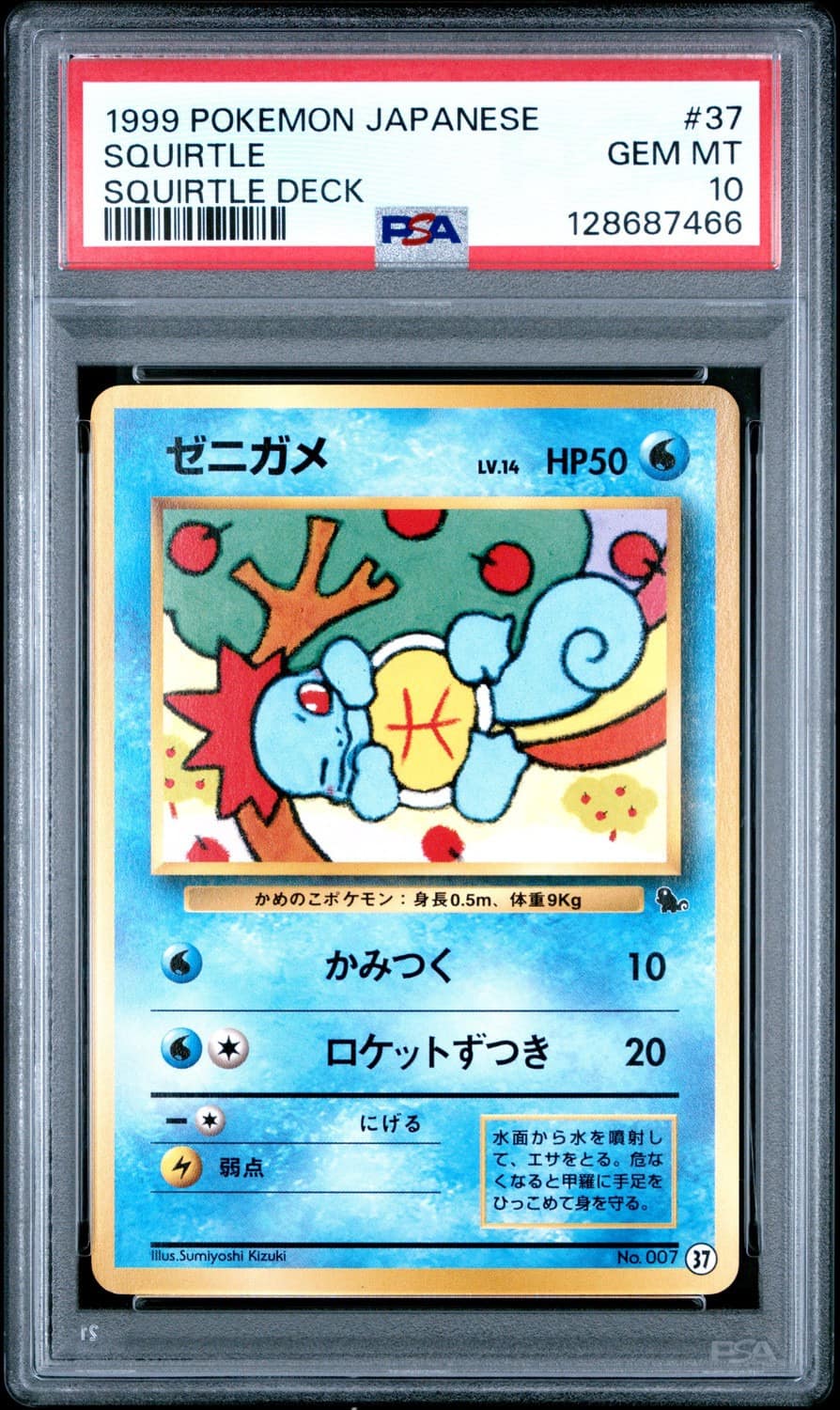 Squirtle