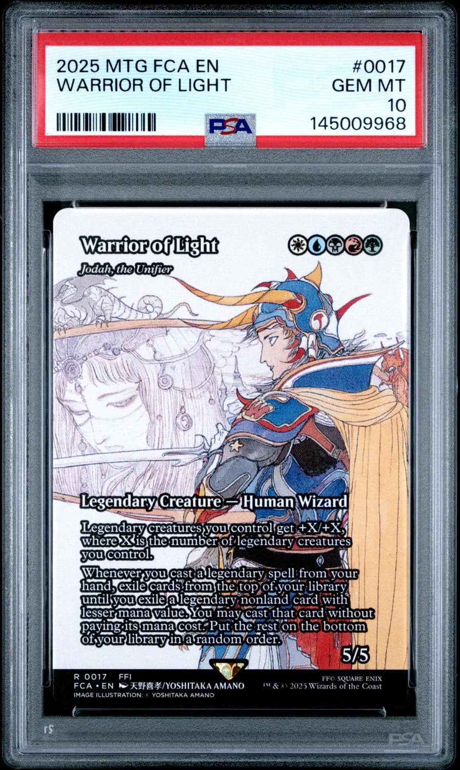 Warrior Of Light