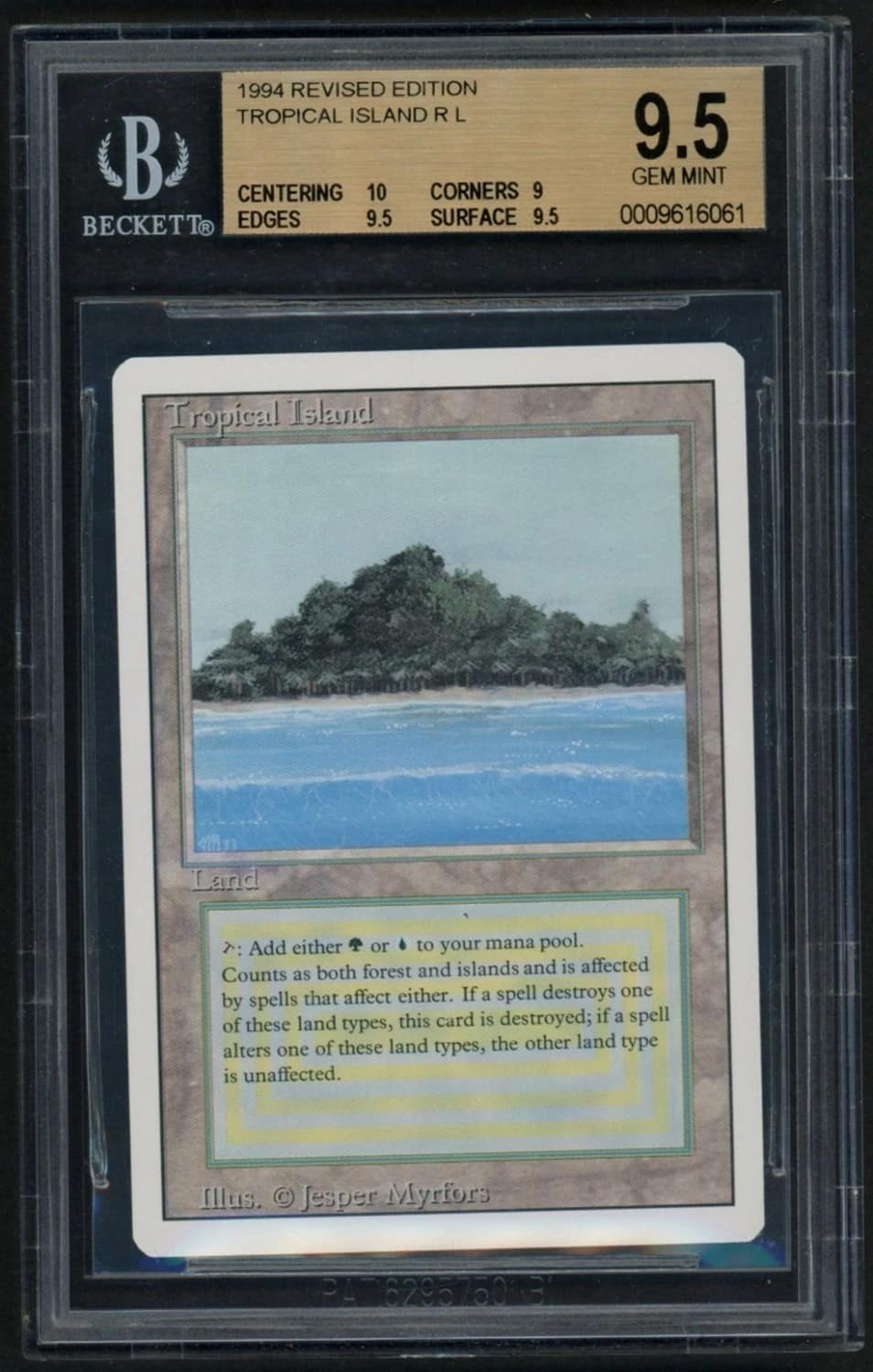 Tropical Island