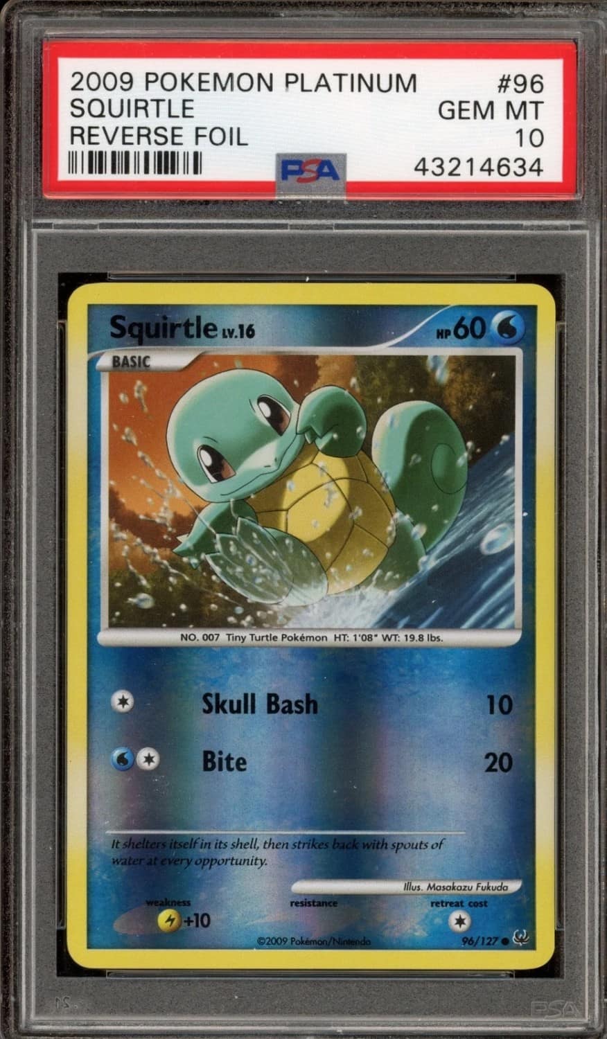 Squirtle