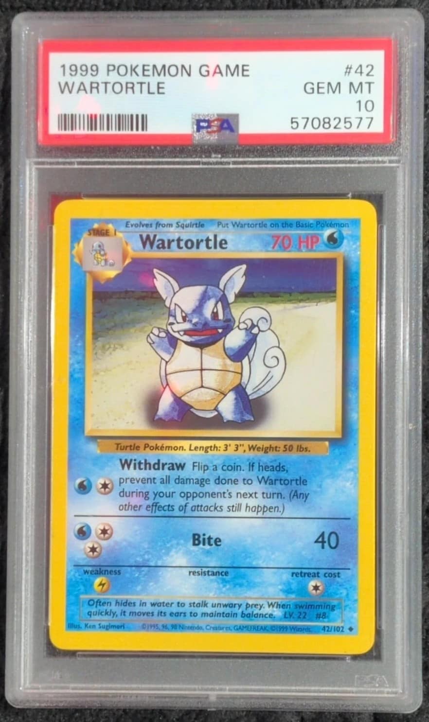Wartortle