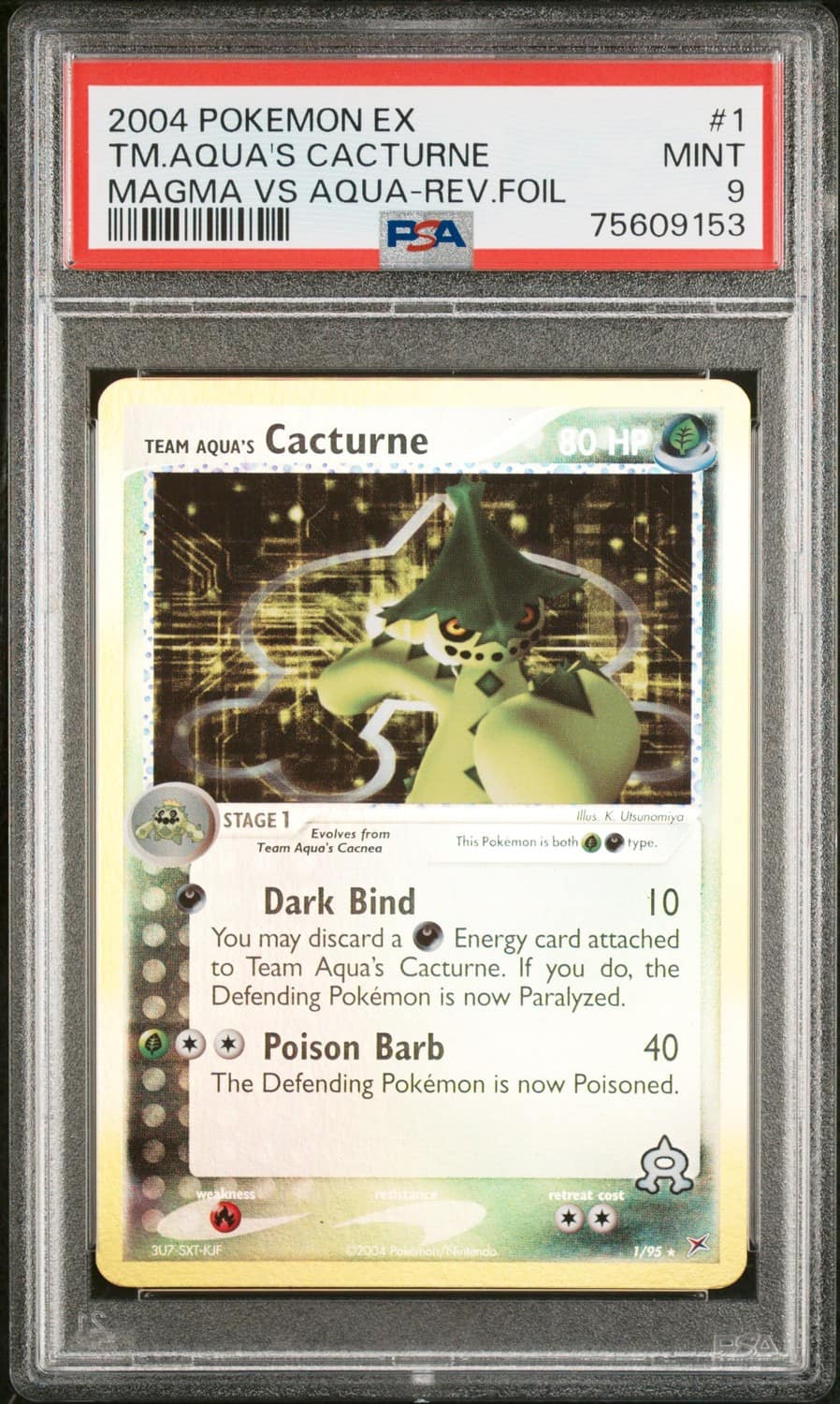 Aqua'S Cacturne
