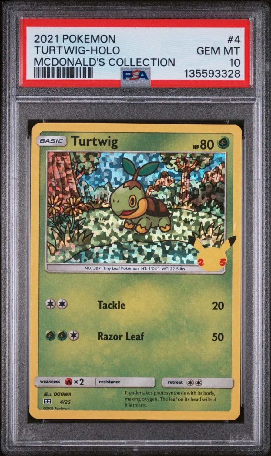 Turtwig