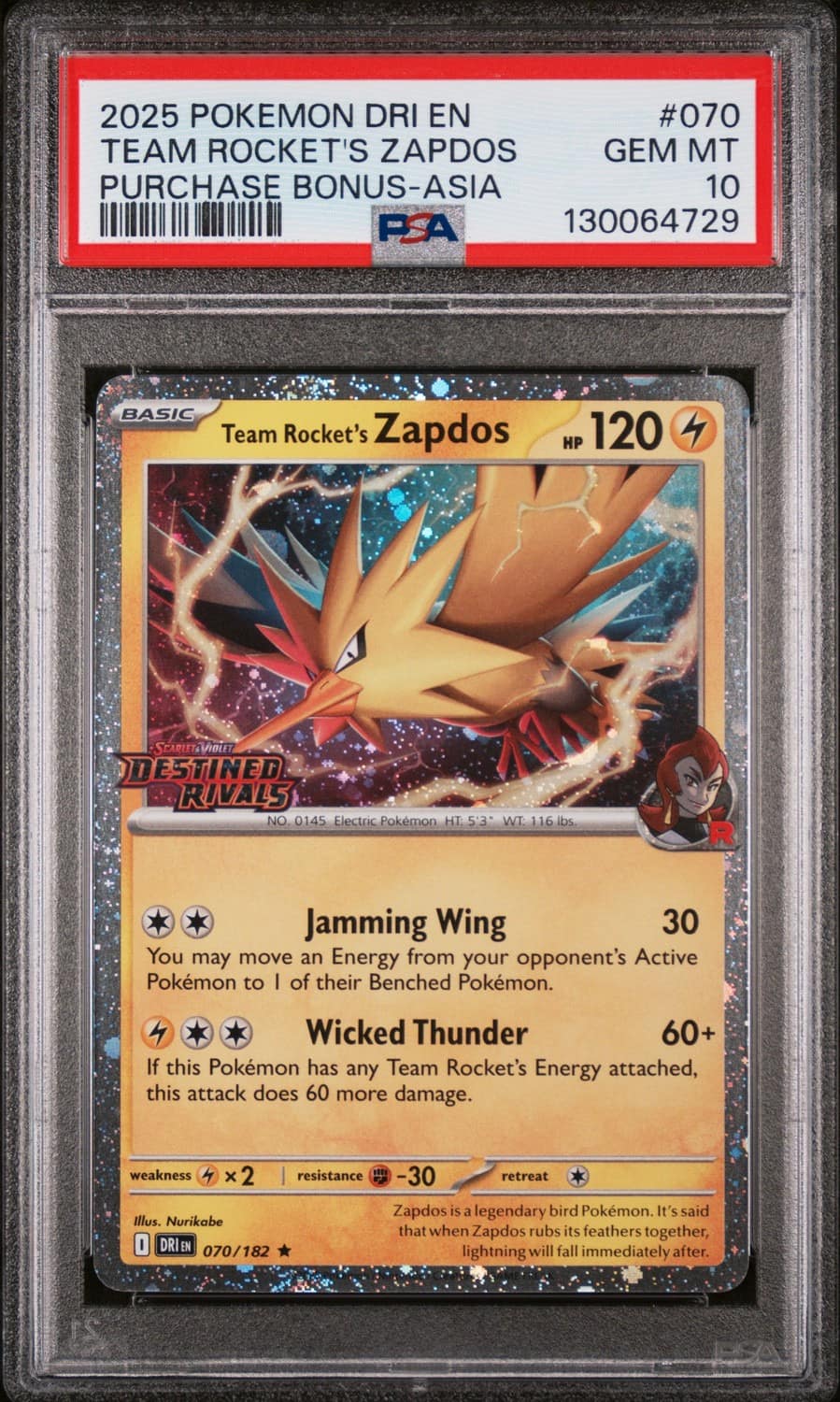 Team Rocket'S Zapdos