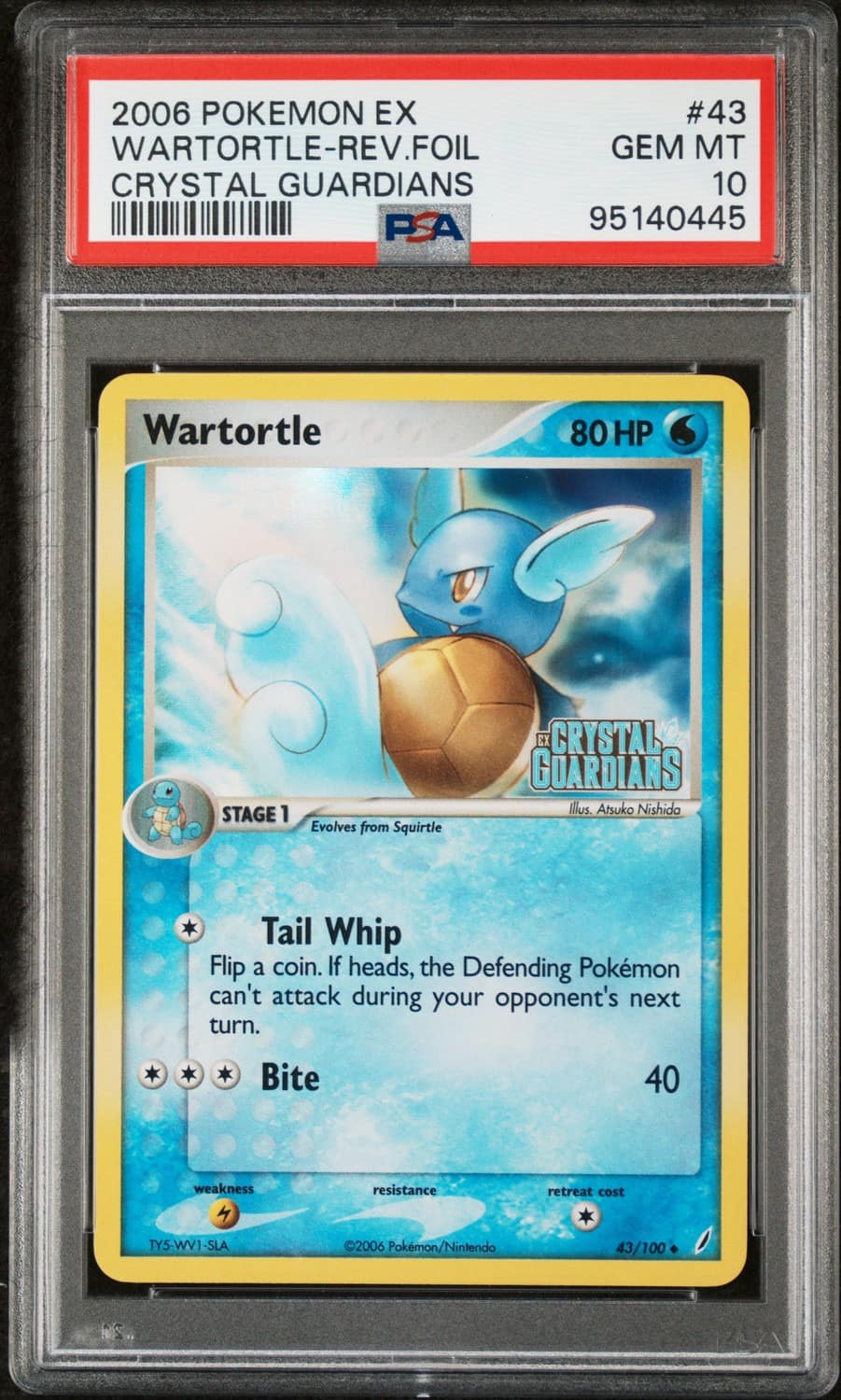 Wartortle