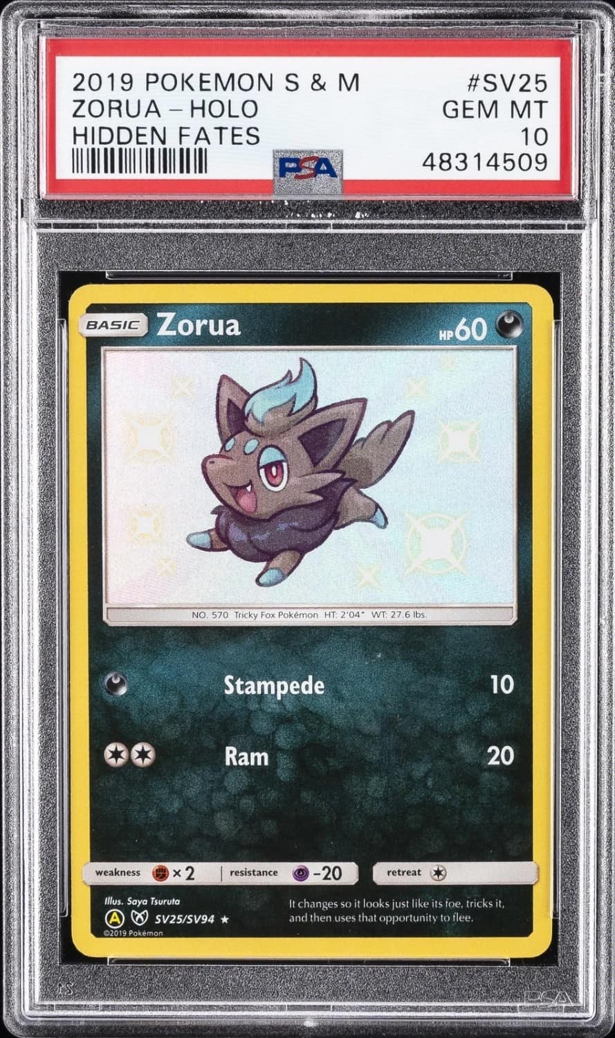 Zorua