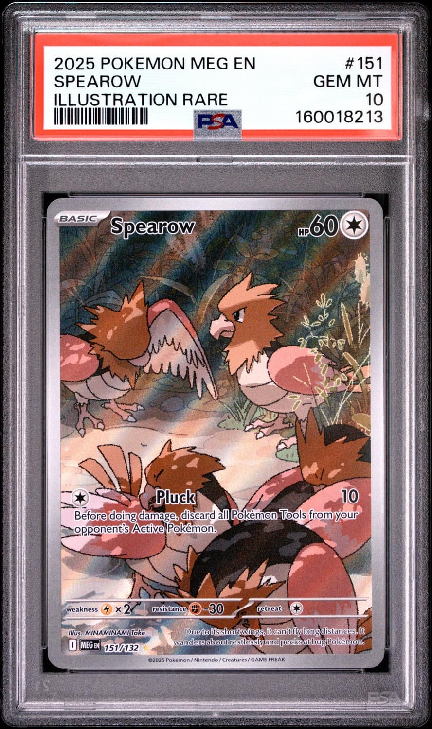 Spearow