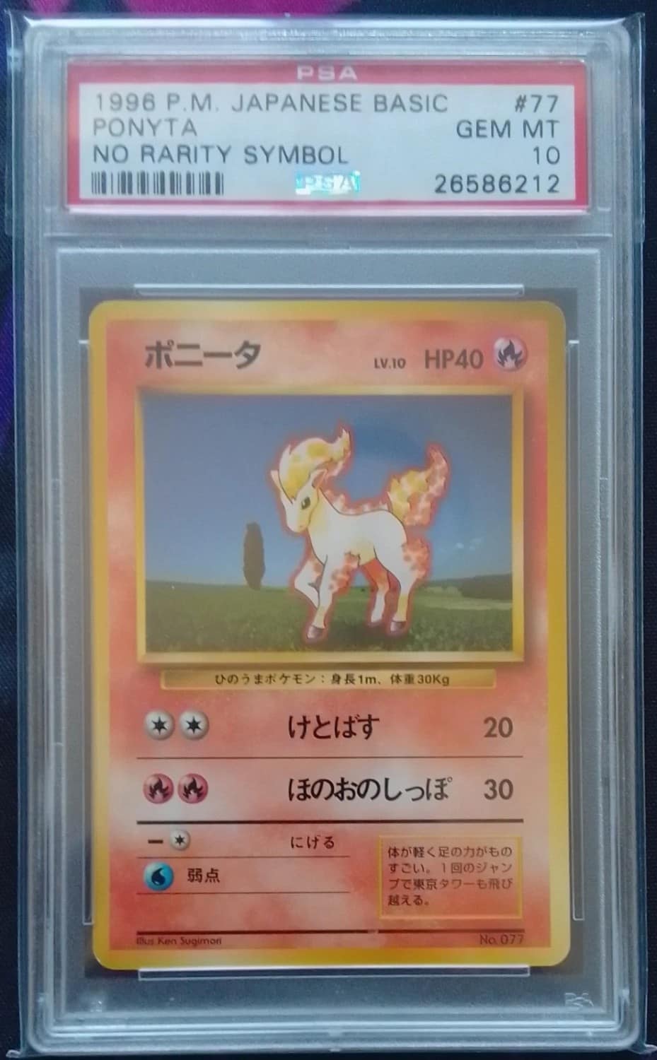 Ponyta