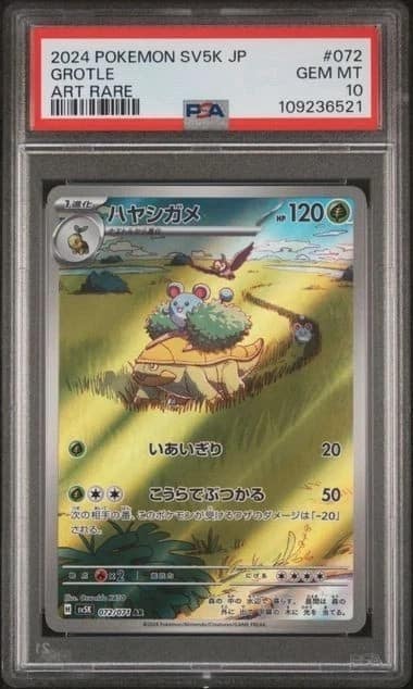Grotle