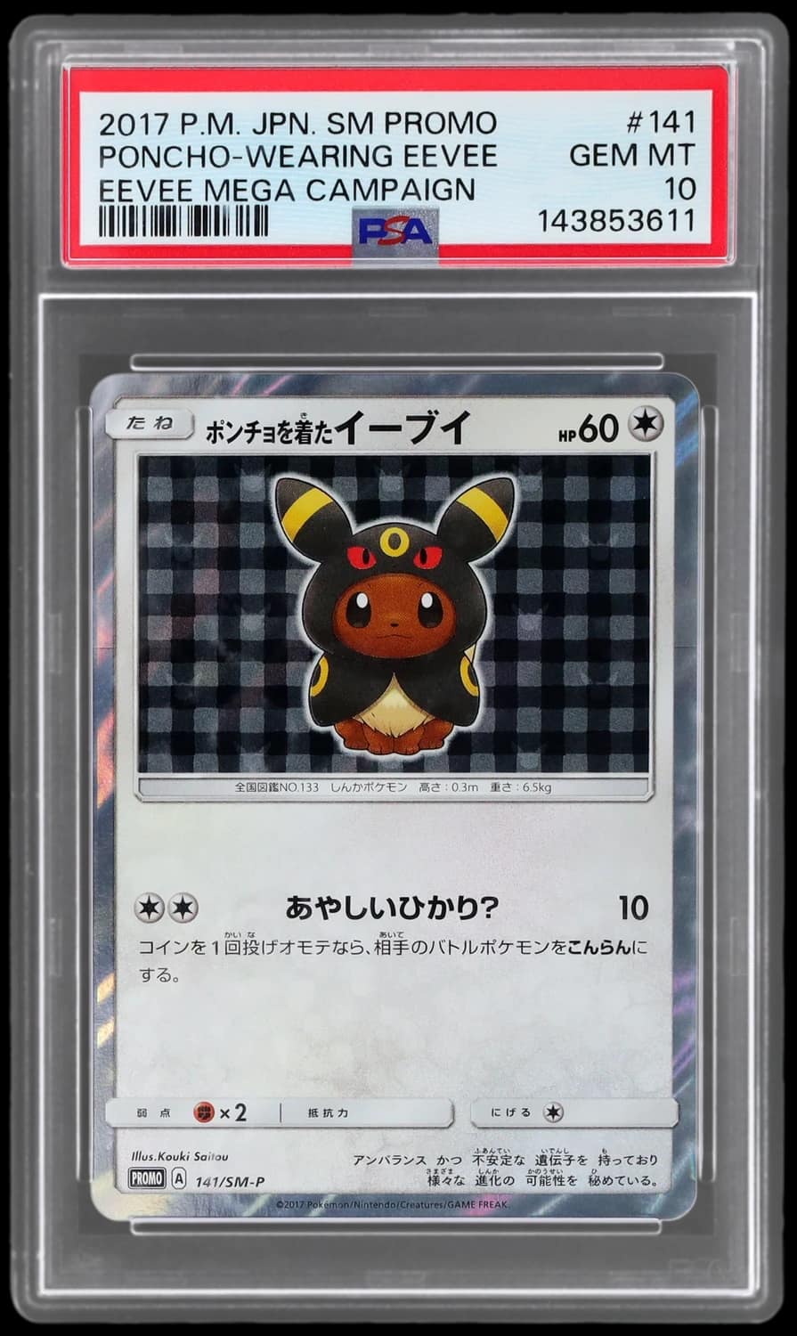 Poncho-Wearing Eevee