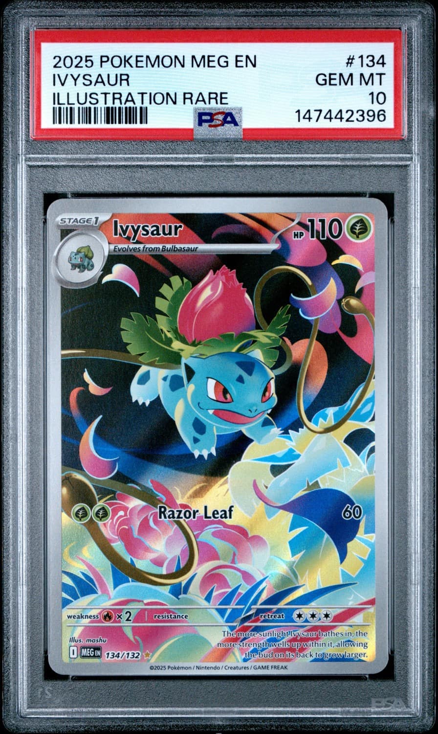 Ivysaur