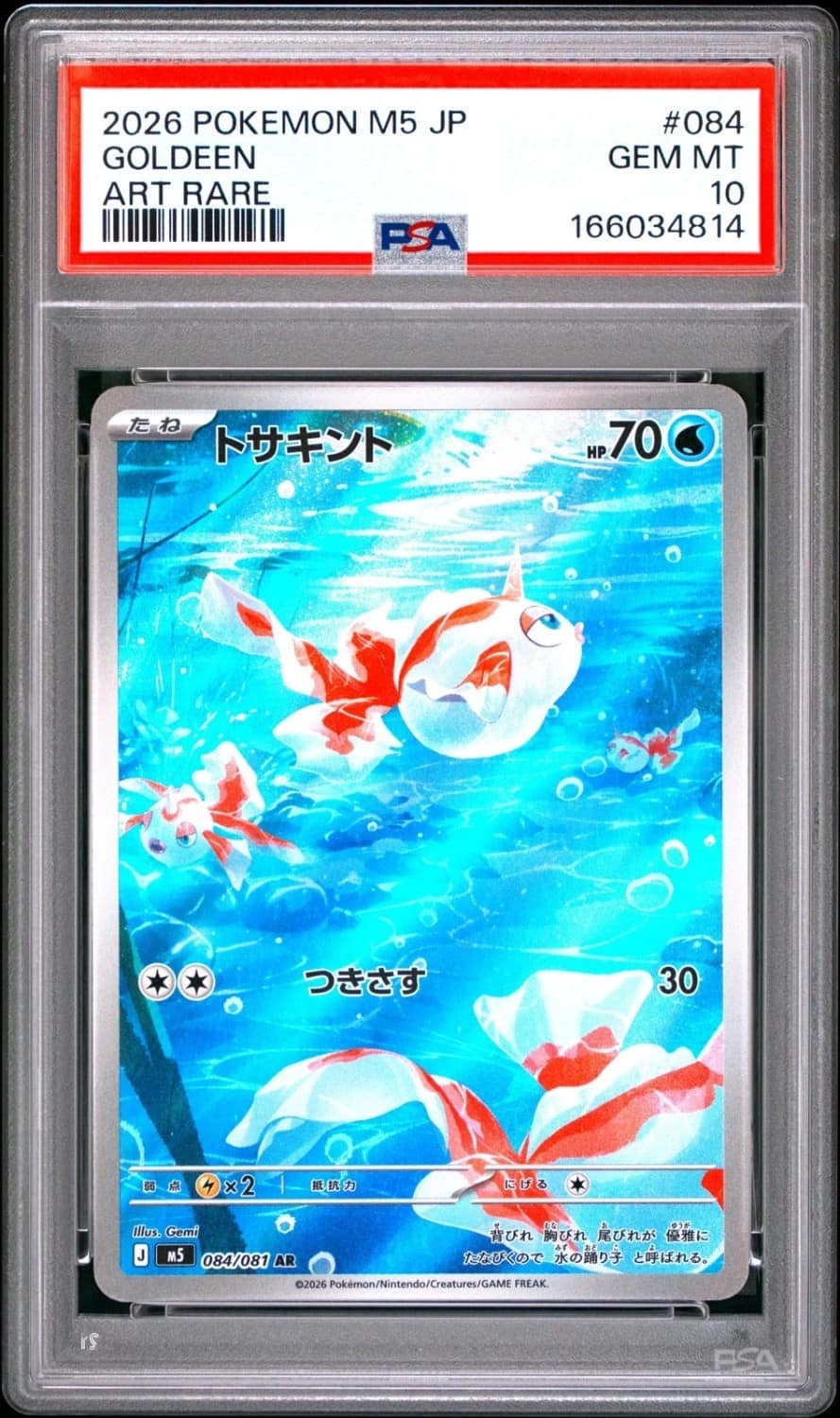Goldeen