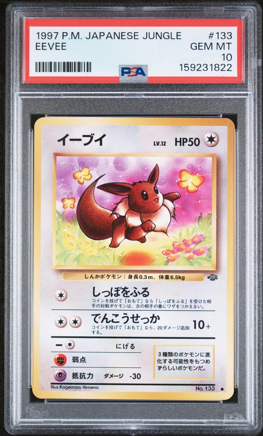 Eevee